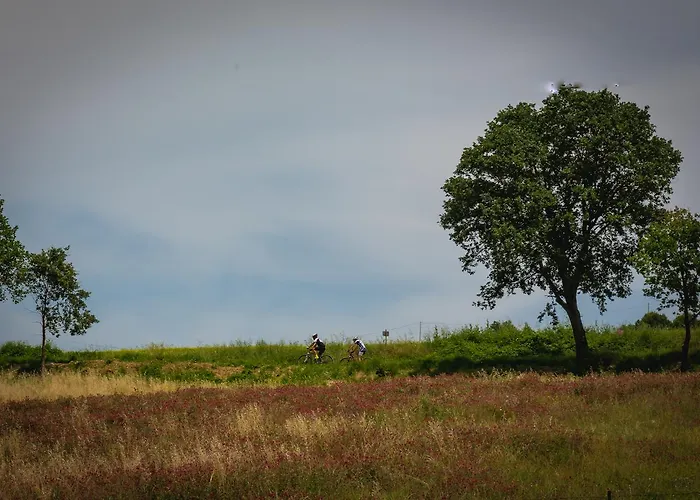 Ceriano * Modigliana