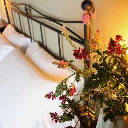 Ceriano * Modigliana