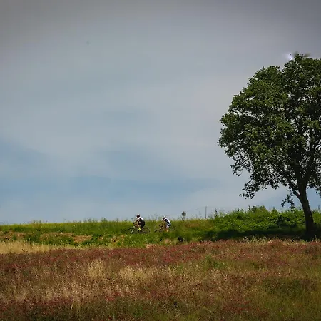 Ceriano * Modigliana