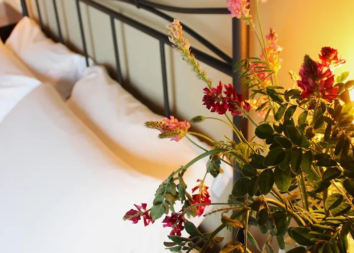 Ceriano * Modigliana