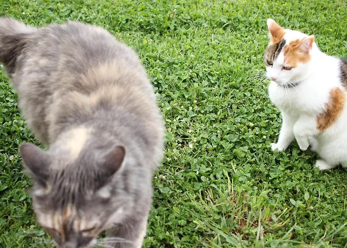 Ceriano Vakantieboerderij *